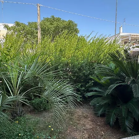 Paguro * מרינה די מנקוורסה